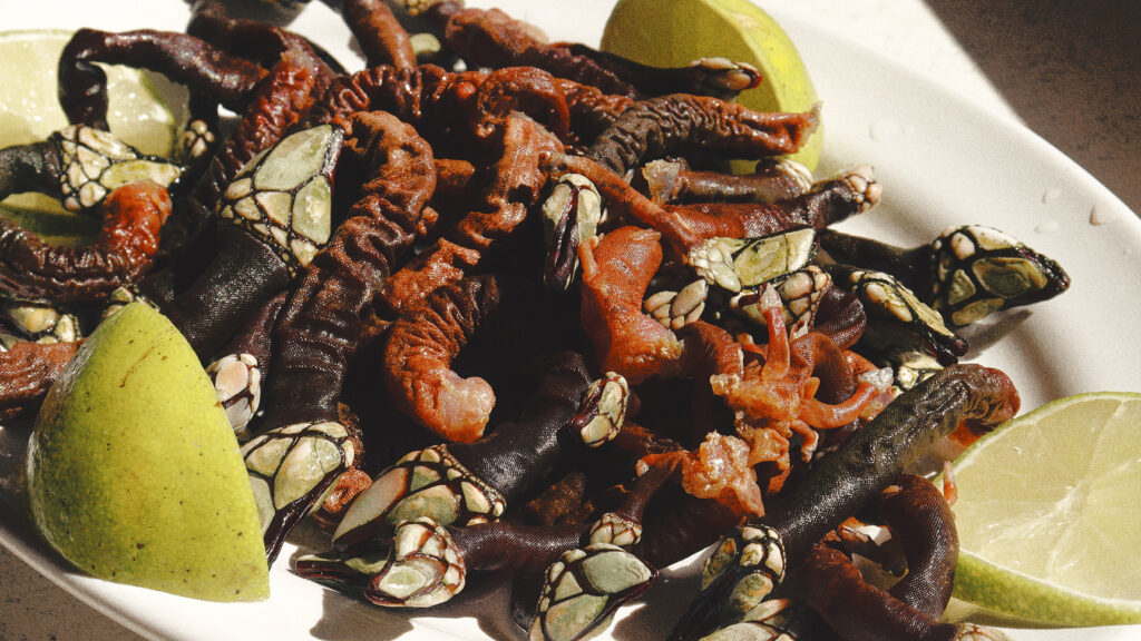 långhalsar på en tallrik