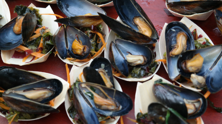 Smakprover på rätt med musslor och alger